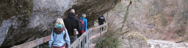 Spaziergang Bürser Schlucht, Kurs 2014